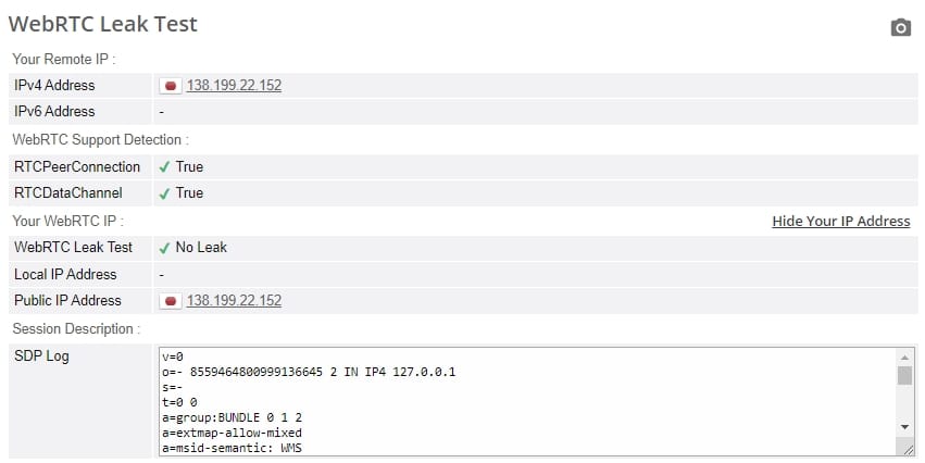 WebRTC 누출 테스트.